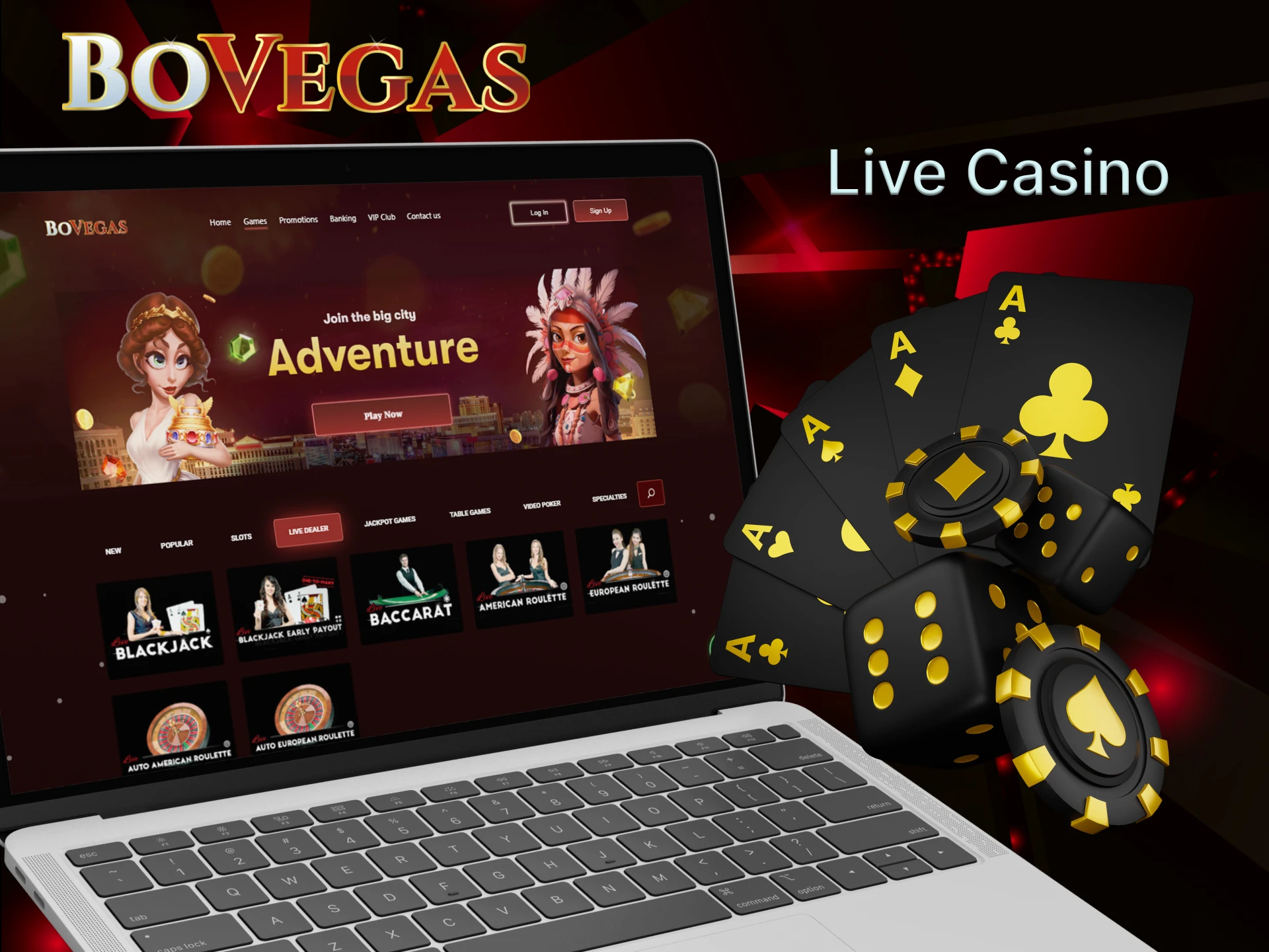 BoVegas Casino has a large selection of live games.