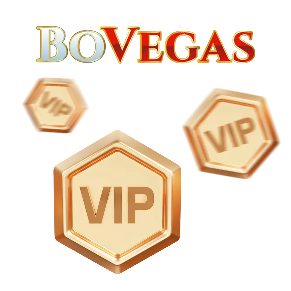 Meet the progress of your personal account at BoVegas Casino.