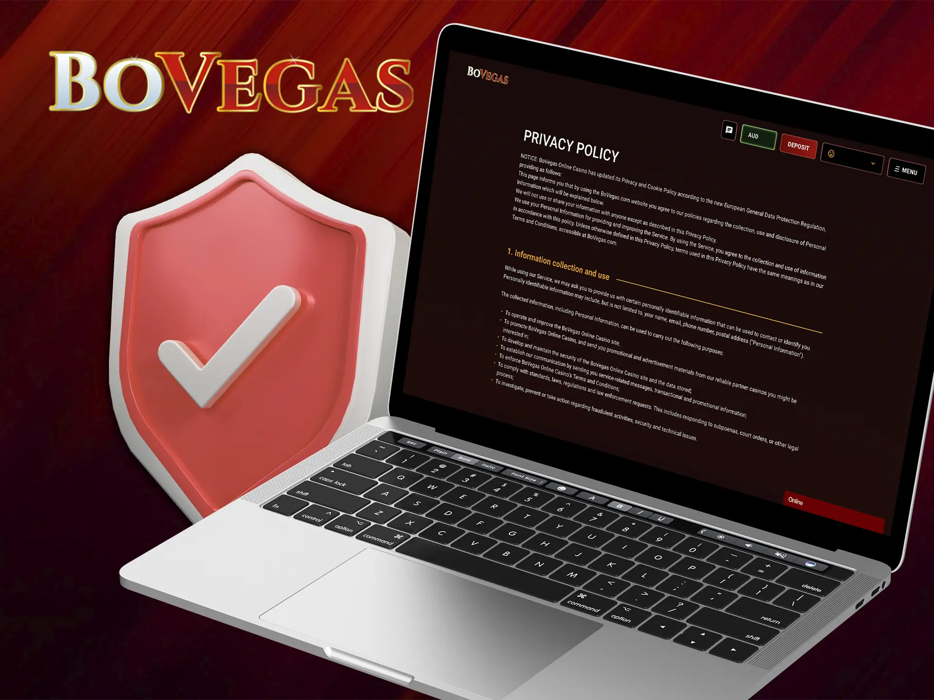 BoVegas specialists regularly monitor the security of their users and constantly improve the protection of their site.